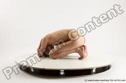 Human Anatomy poses - Alexej